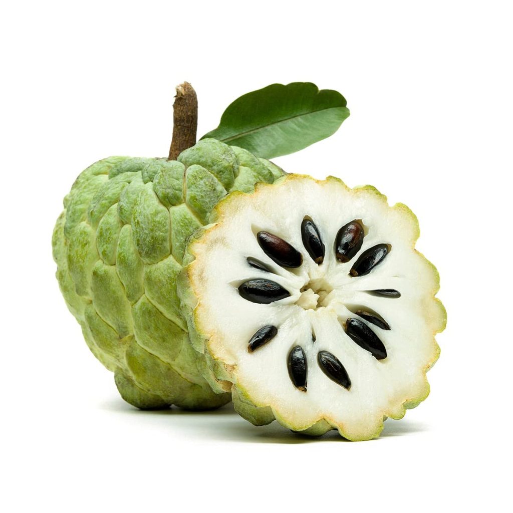 annona-squamosa-paradise-garden