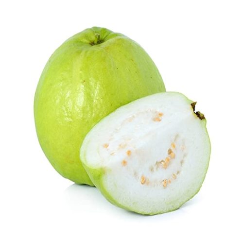 Guava (white) - Paradise Garden