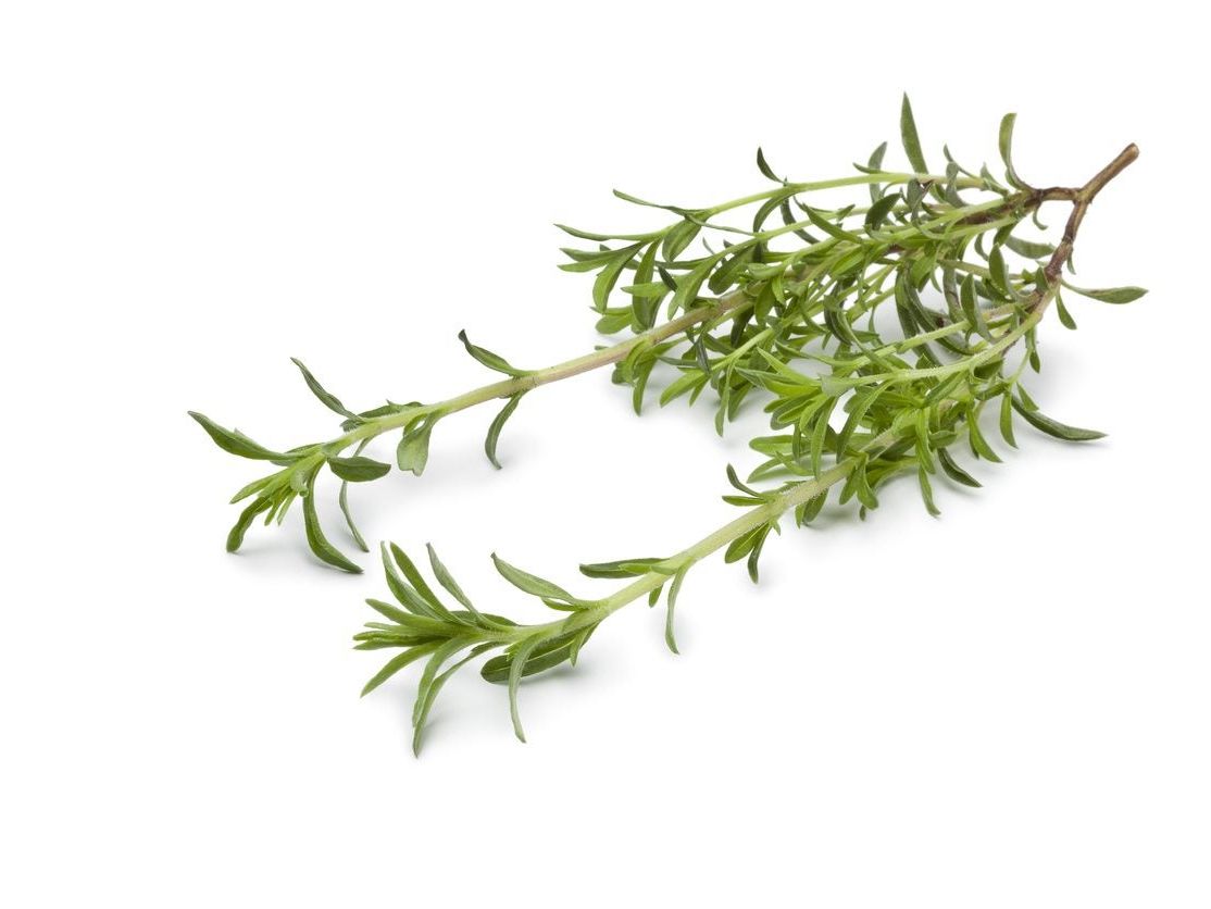Savory leaves