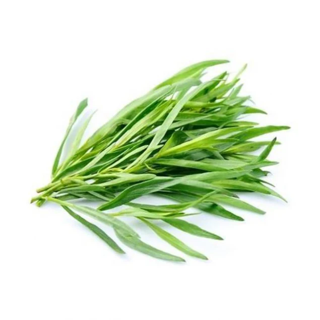 Tarragon leaves